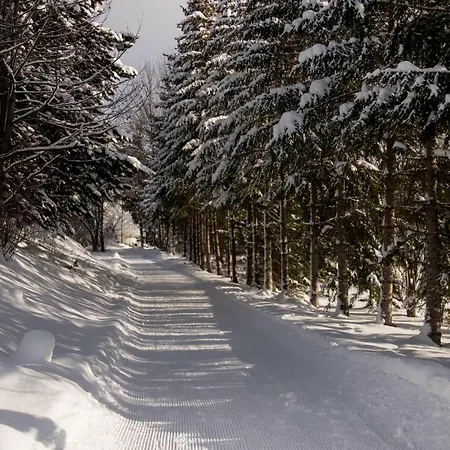 Alpenperle بيت ضيافة