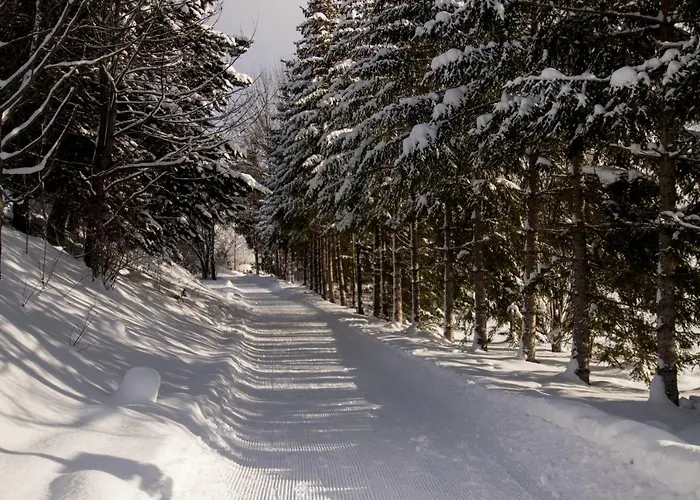 Alpenperle Casa de hóspedes