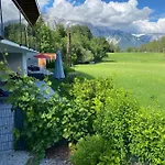 Alpenperle