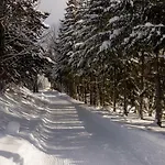 Alpenperle بيت ضيافة